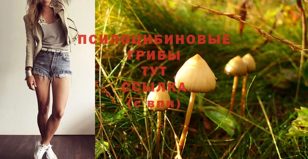 прущий лед Новозыбков