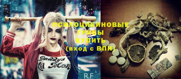 дурь Новодвинск