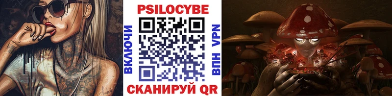mega tor Фрязино Галлюциногенные грибы MAGIC MUSHROOMS